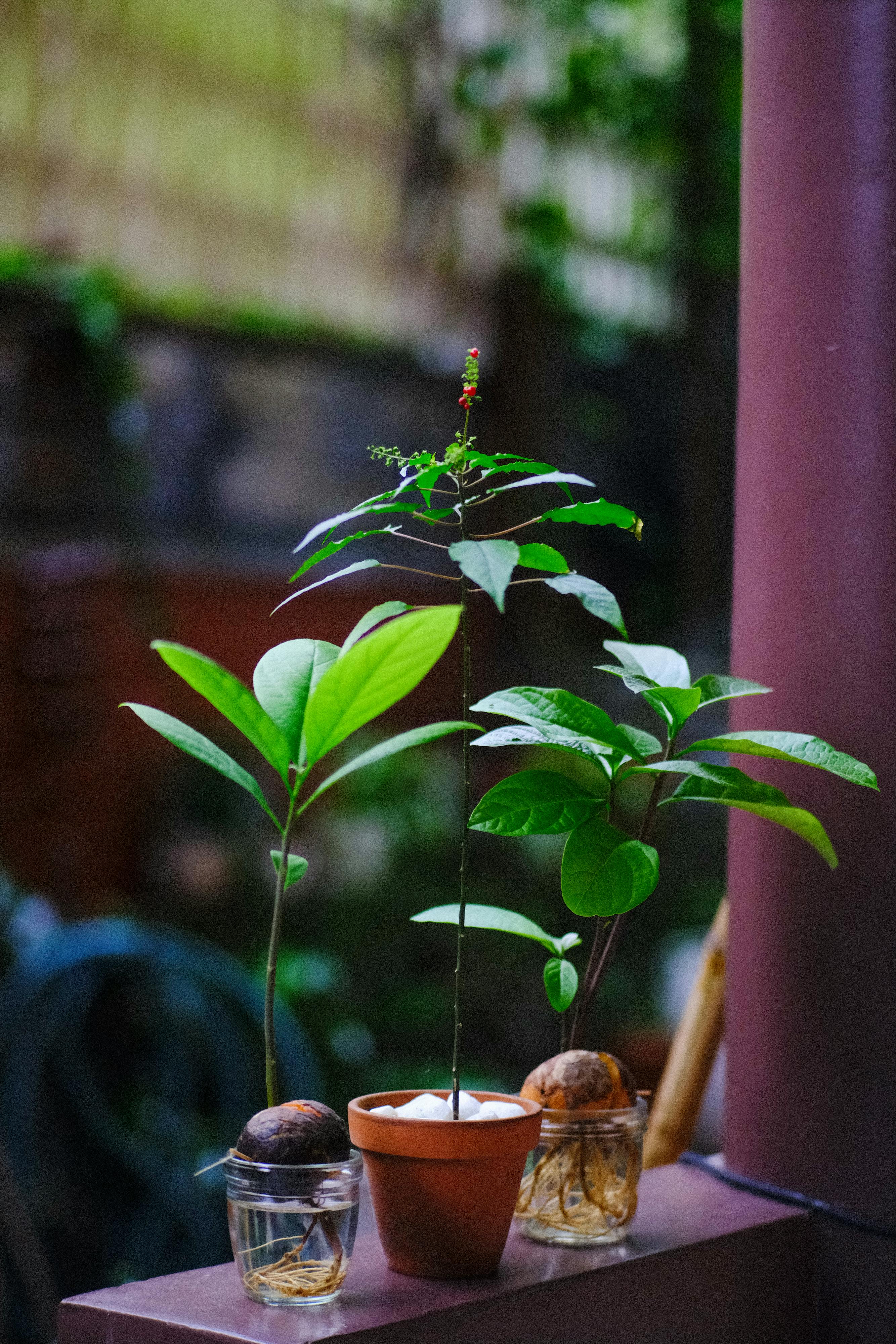 Hướng dẫn đồng bộ thư viện ảnh đa thiết bị cùng Google Photos