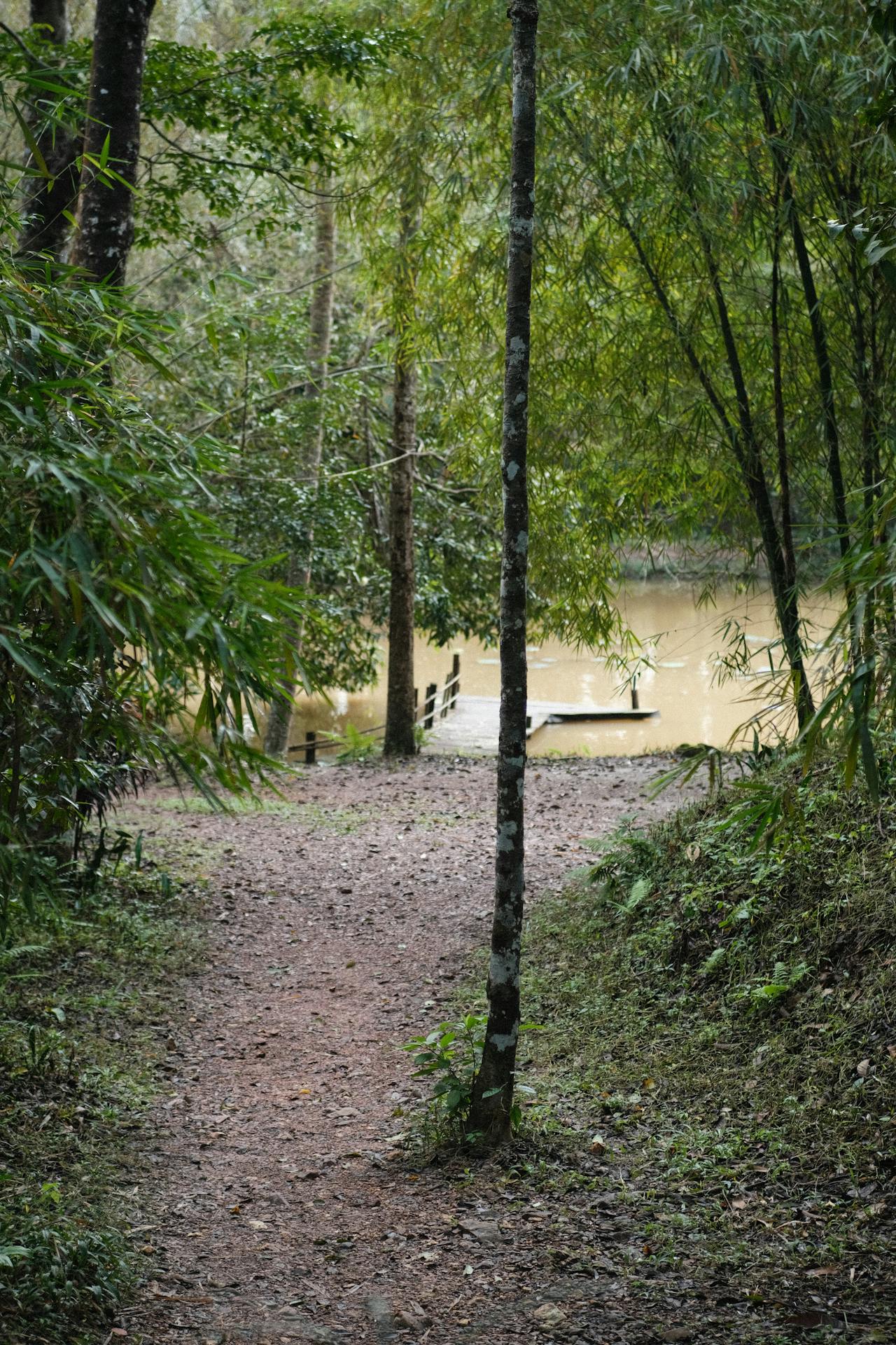 Biên niên ký chim vặn dây cót | Chương 52