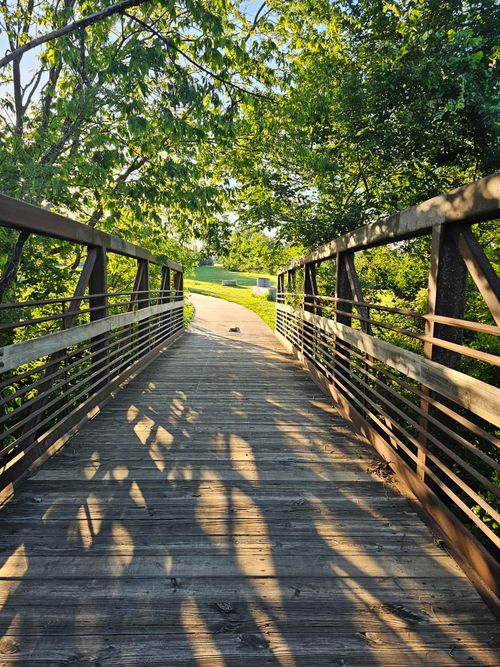 Free Trail Bridge Stock Photo