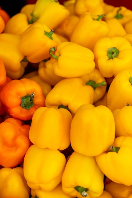 Free Fresh yellow and orange bell peppers stacked together, showcasing vibrant colors. Stock Photo