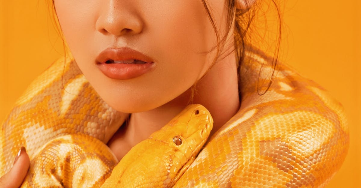 家有毛孩也不怕 三伏貼助你改善過敏重拾生活品質