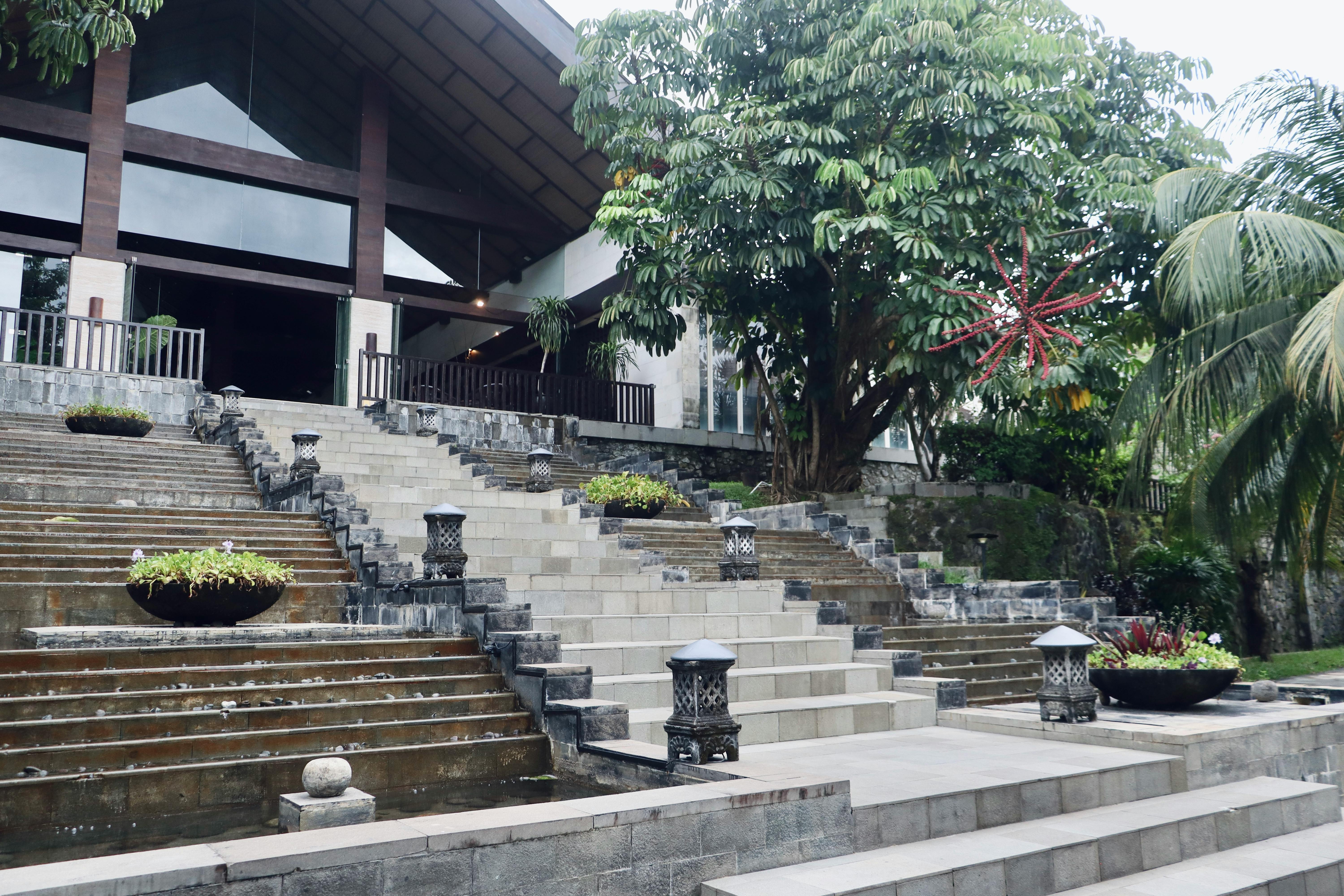 A welcoming and calm entrance to a modern treatment facility with natural landscaping. - Holistic Drug Rehab