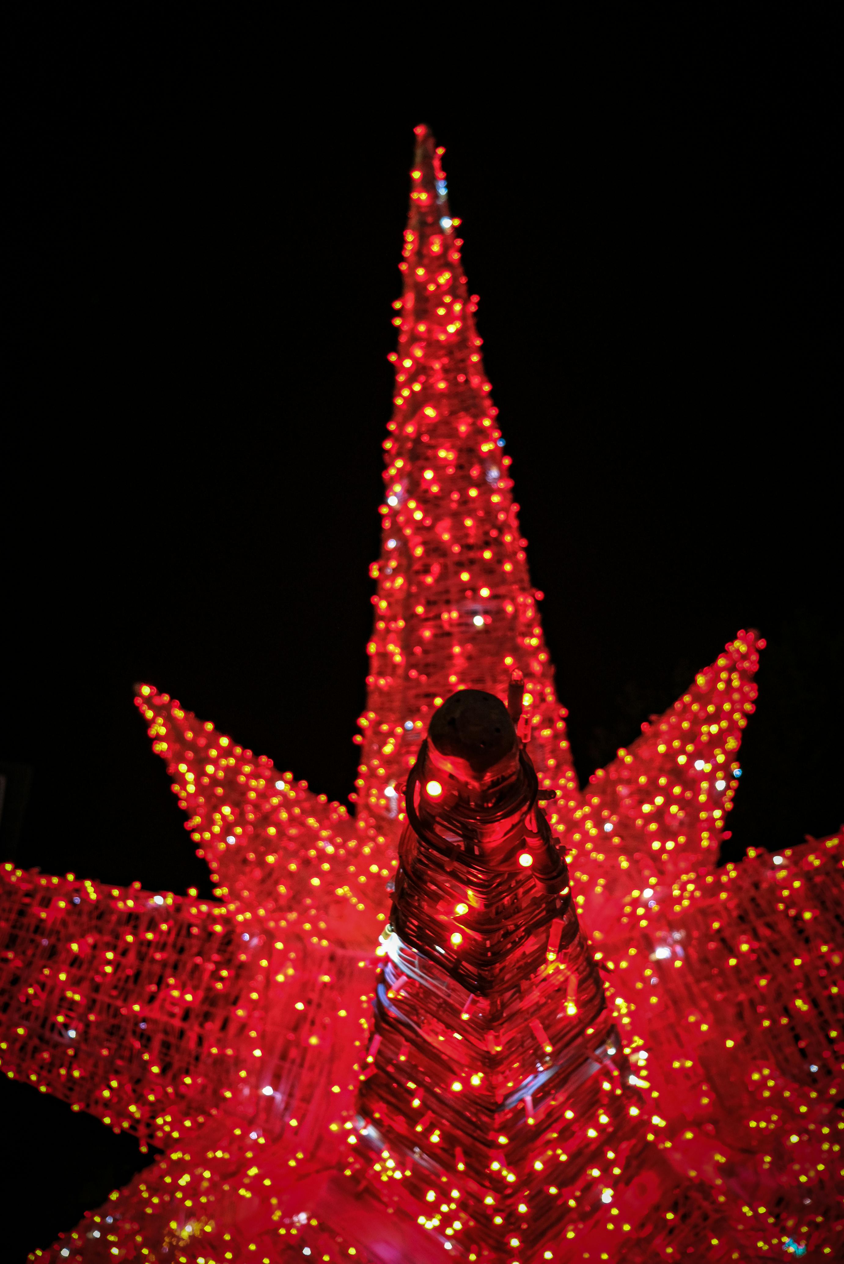 Free stock photo of christmas, christmas decoration, christmas lights