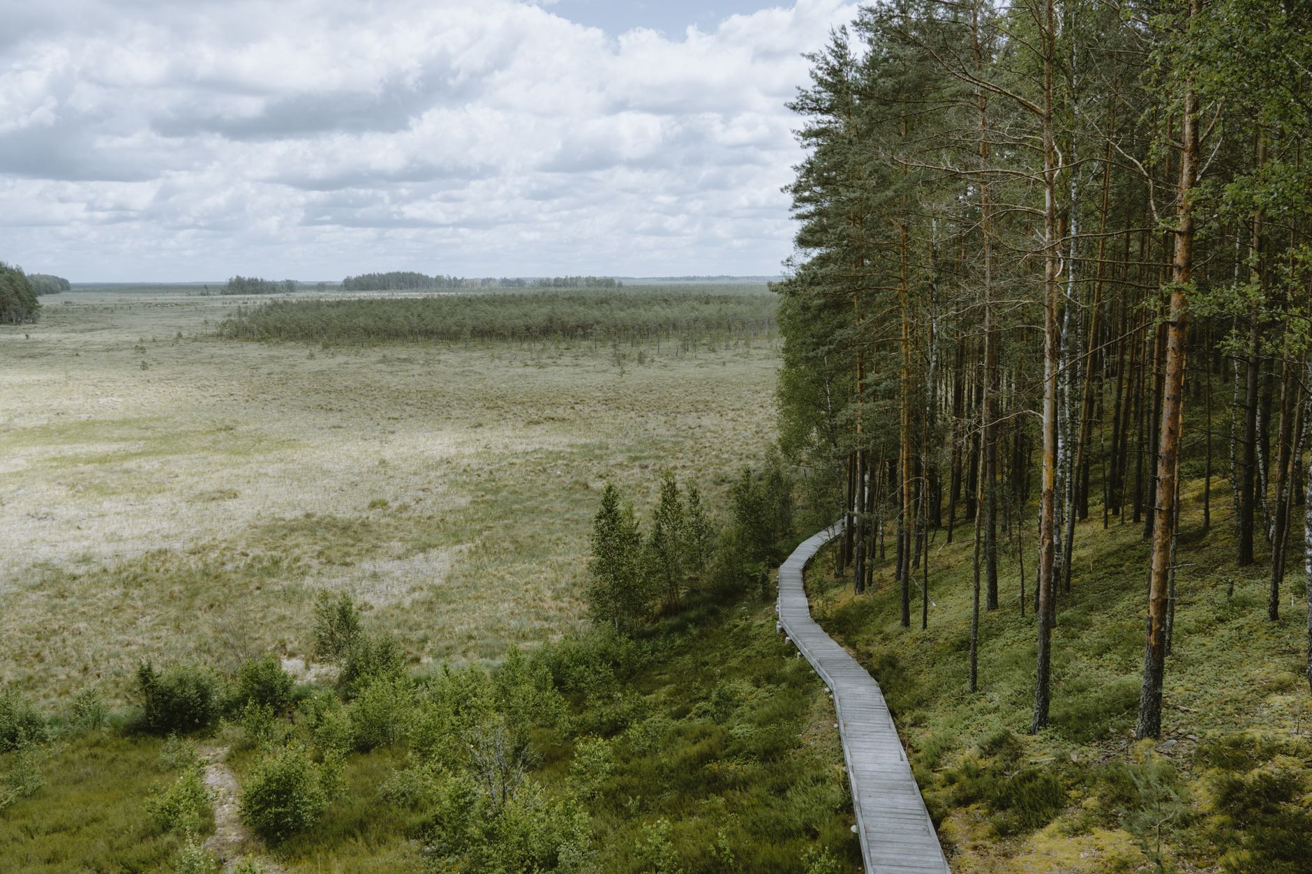 Scenic view of a wooden pathway through lush marshlands in Alytus County, Lithuania during summer.