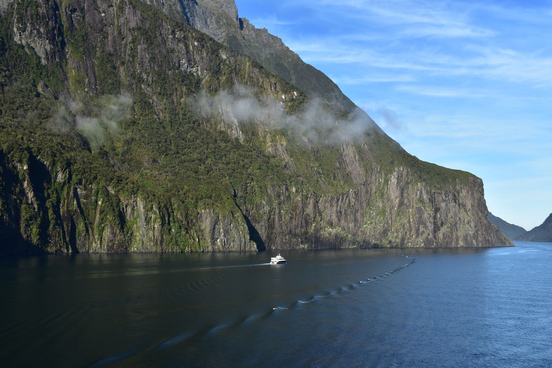 Cruise boat crossing Milford Sound beneath forested New Zealand cliffs