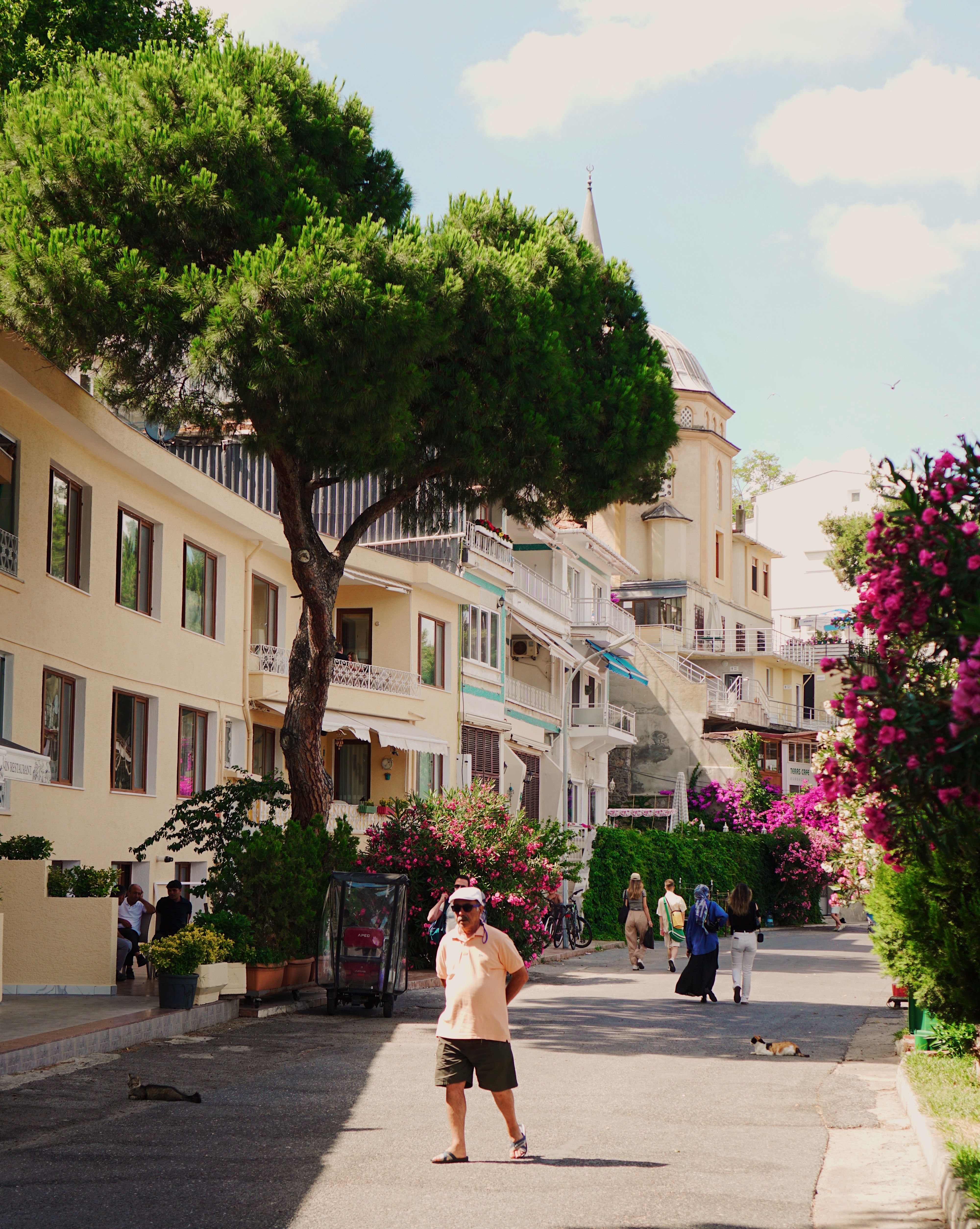 Charming Summer Street in European City · Free Stock Photo