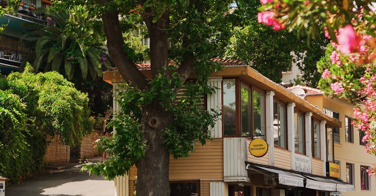 迎戰氣候挑戰 行動打造韌性村里 從日常生活開始