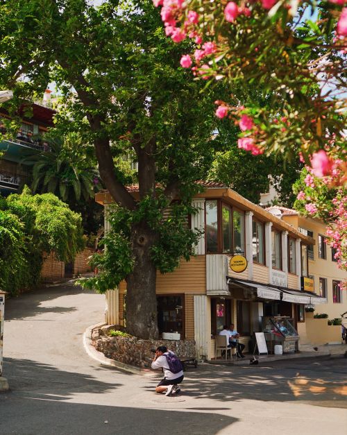 Free Vibrant street scene with colorful blossoms and lively atmosphere in a quaint town. Stock Photo