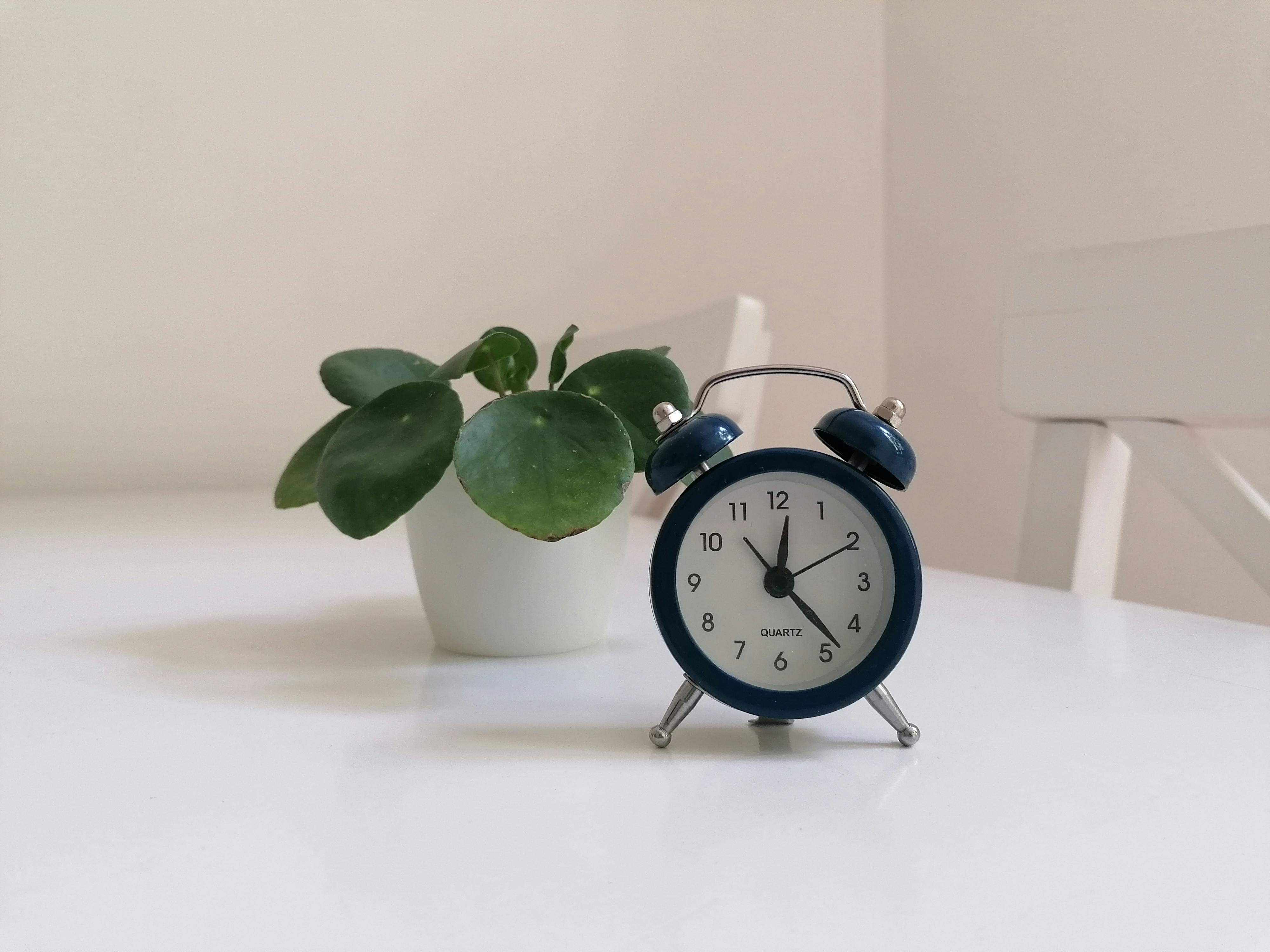 Gratuit O scenă minimalistă cu un ceas deșteptător albastru și o plantă pilea pe o masă albă. Fotografie de stoc