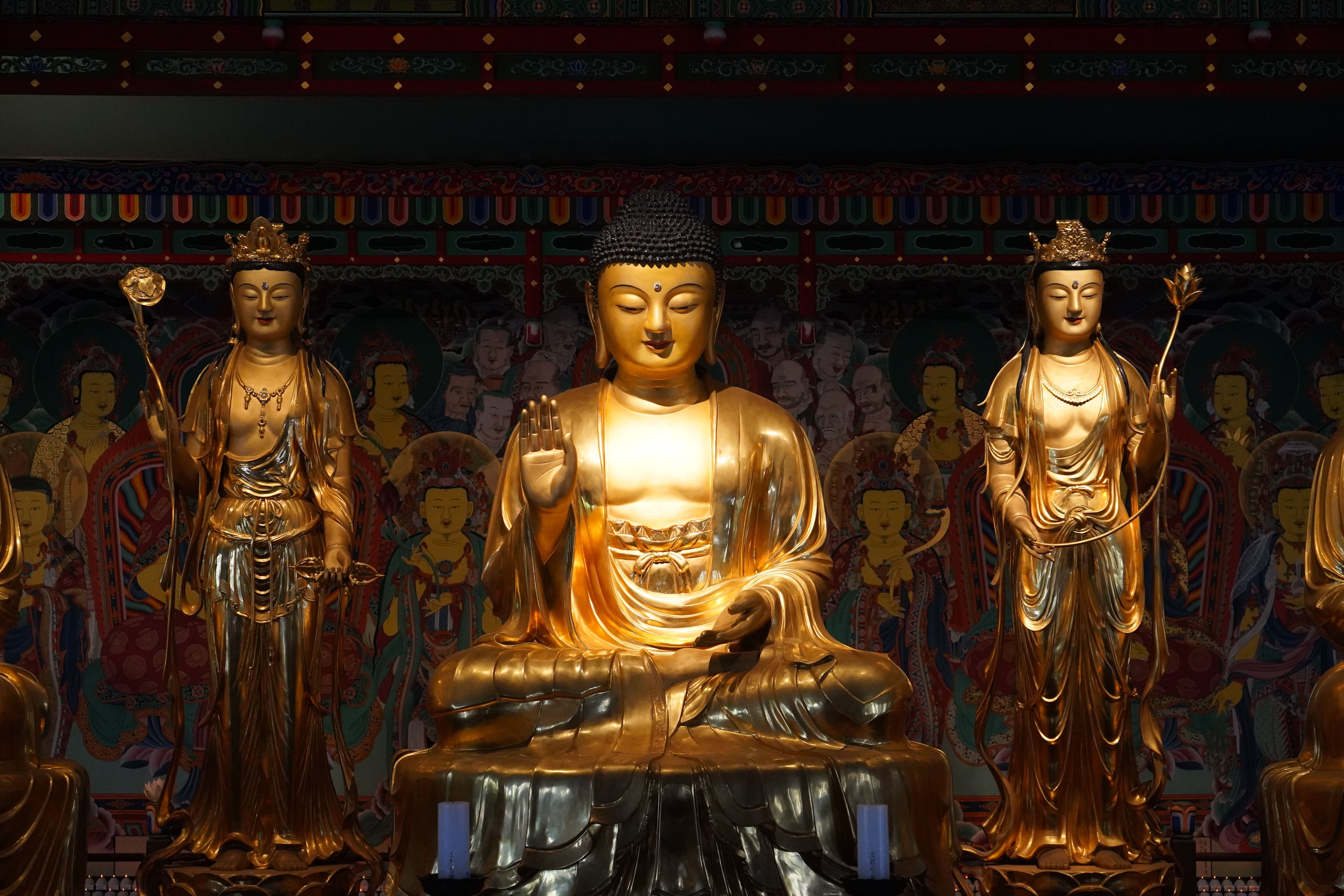 Buddha Purnima: The Spiritual Significance and Hidden Meaning Behind This Sacred Festival