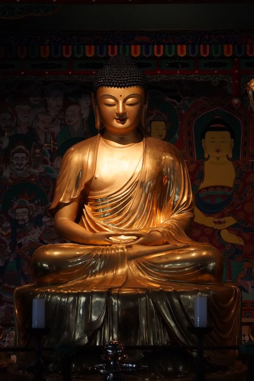 Free A magnificent golden Buddha statue sitting in a serene meditation pose, surrounded by intricate artwork. Stock Photo