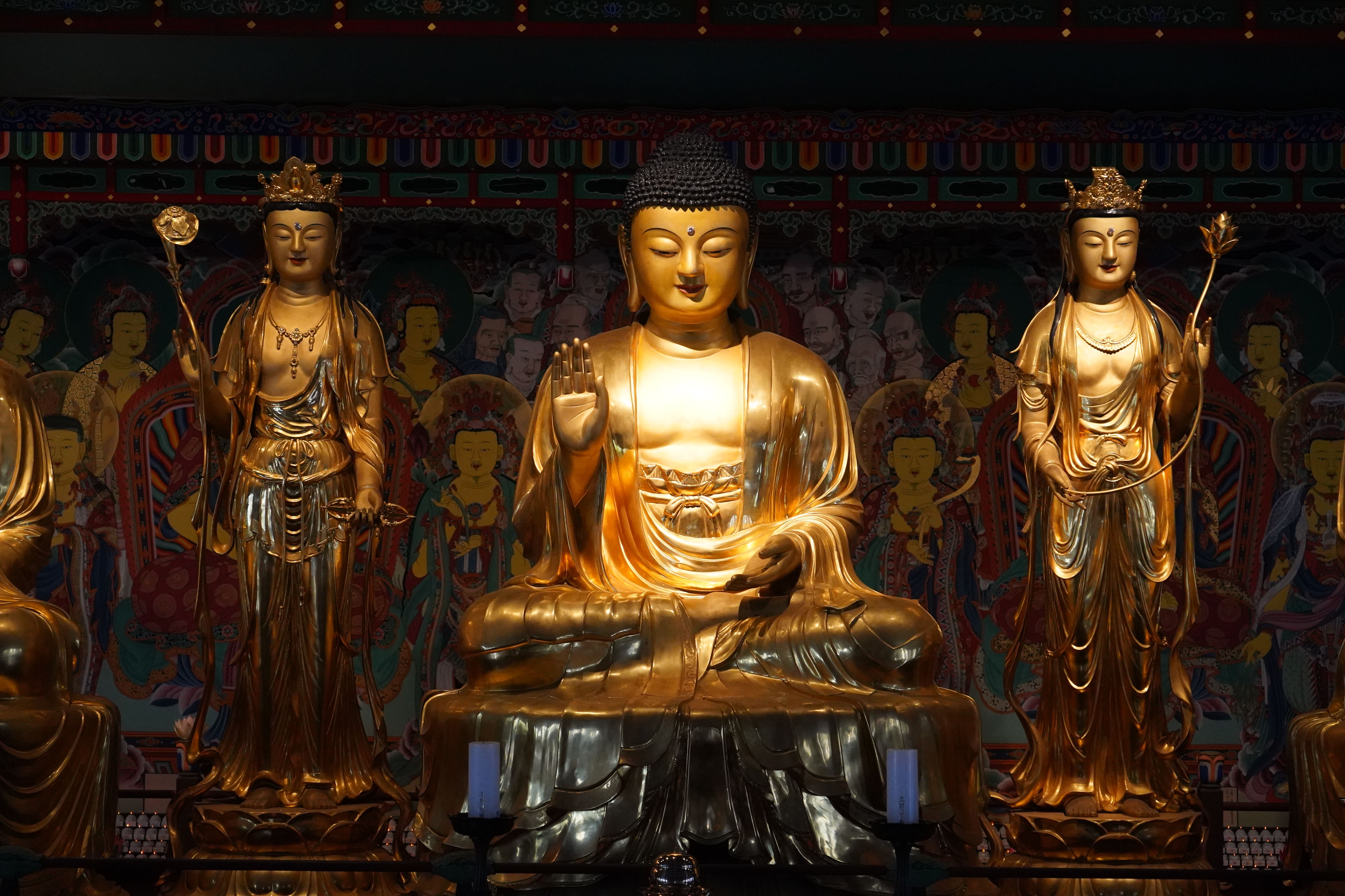 Buddha Dhamma For University Students Buddhadasa Bhikkhu