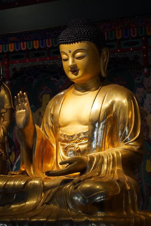 Free A golden Buddha statue in a serene meditation pose indoors, exuding tranquility. Stock Photo
