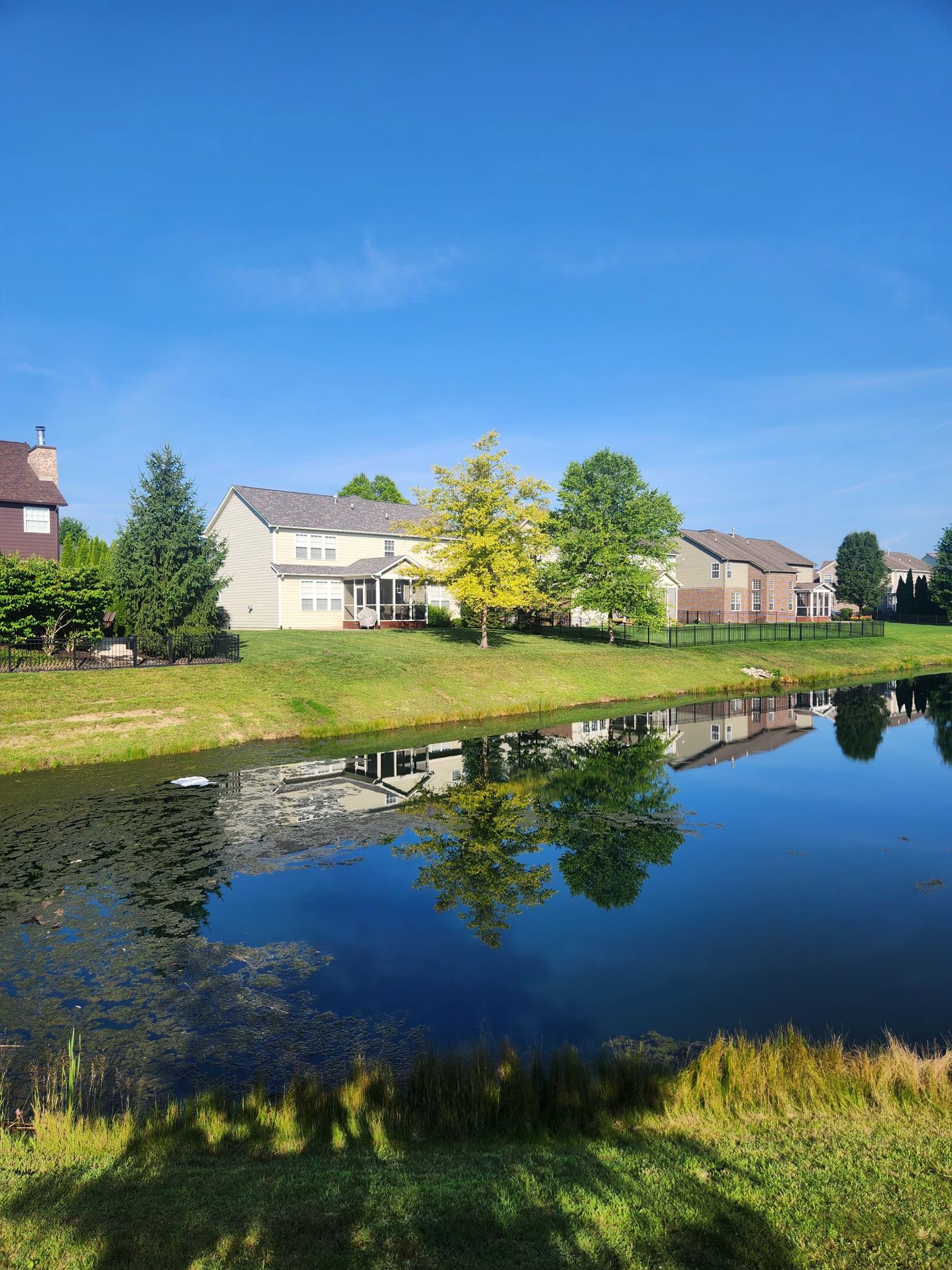 retirement tiny home community â€” single-story cottages with covered porches, mature landscaping, walking path in foreground