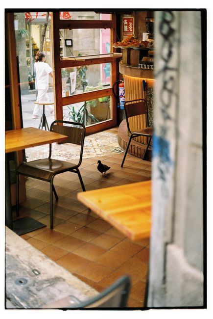 Charming cafe setting with empty tables and a wandering pigeon inside.