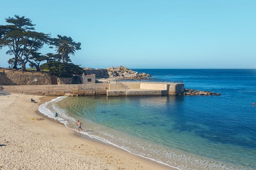 Monterey, United States photo 12