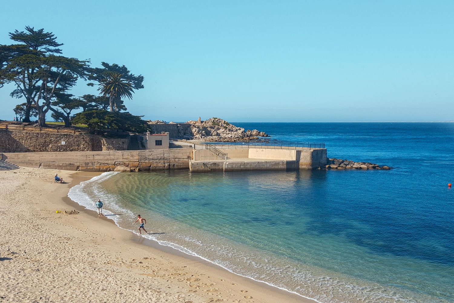 Dog Beach