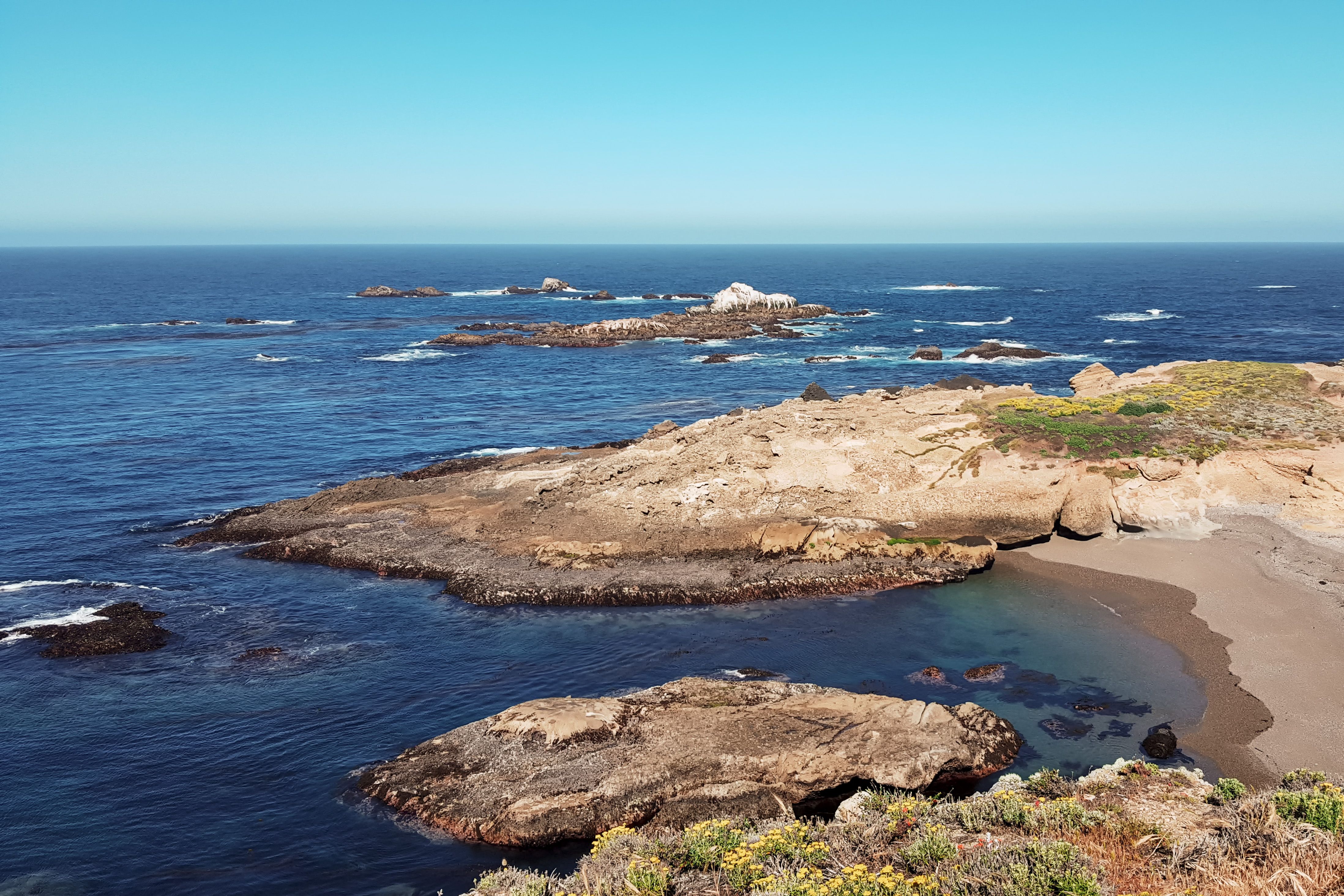 Stunning Coastal View at Point Lobos, California · Free Stock Photo