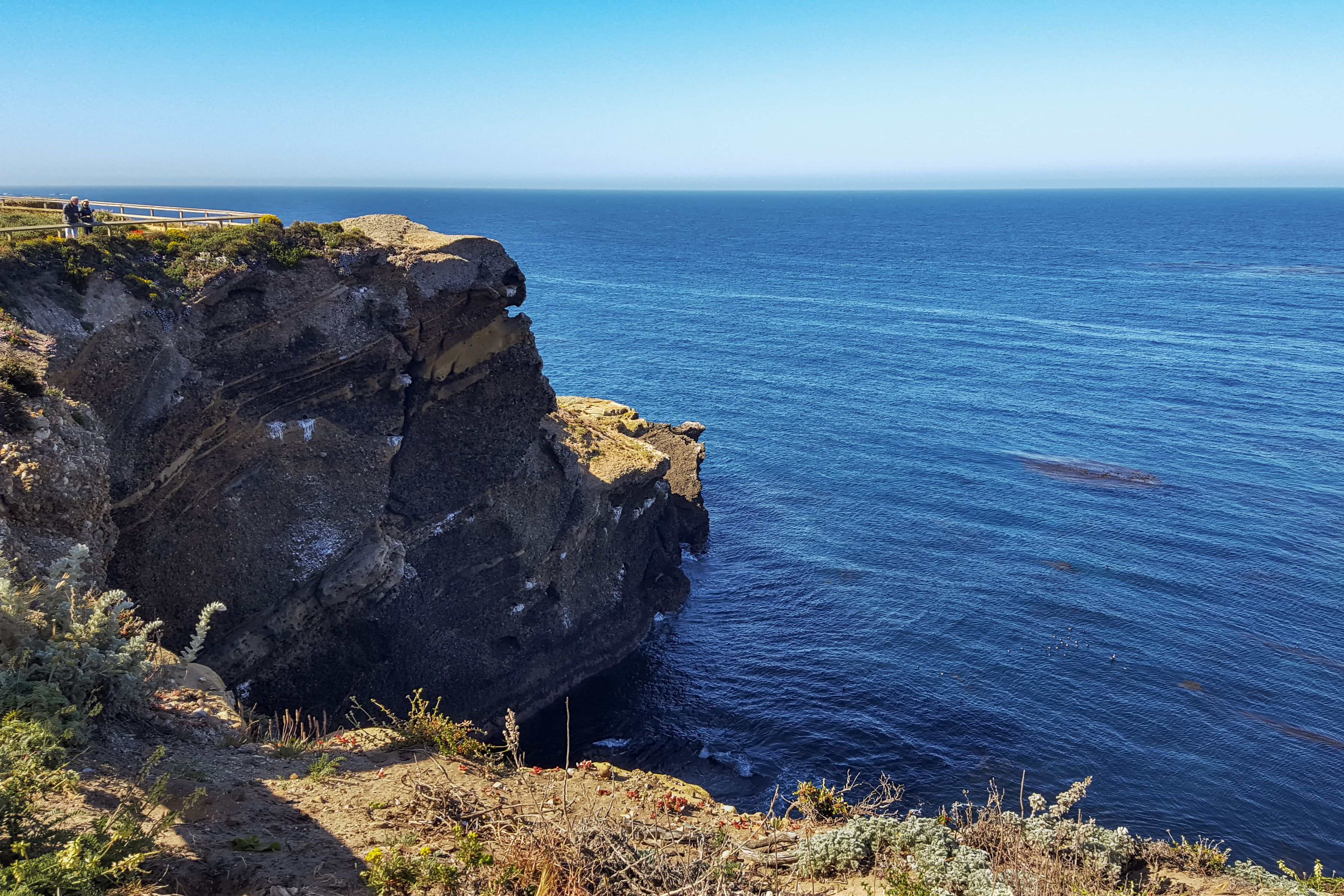 Point Lobos State Natural Reserve