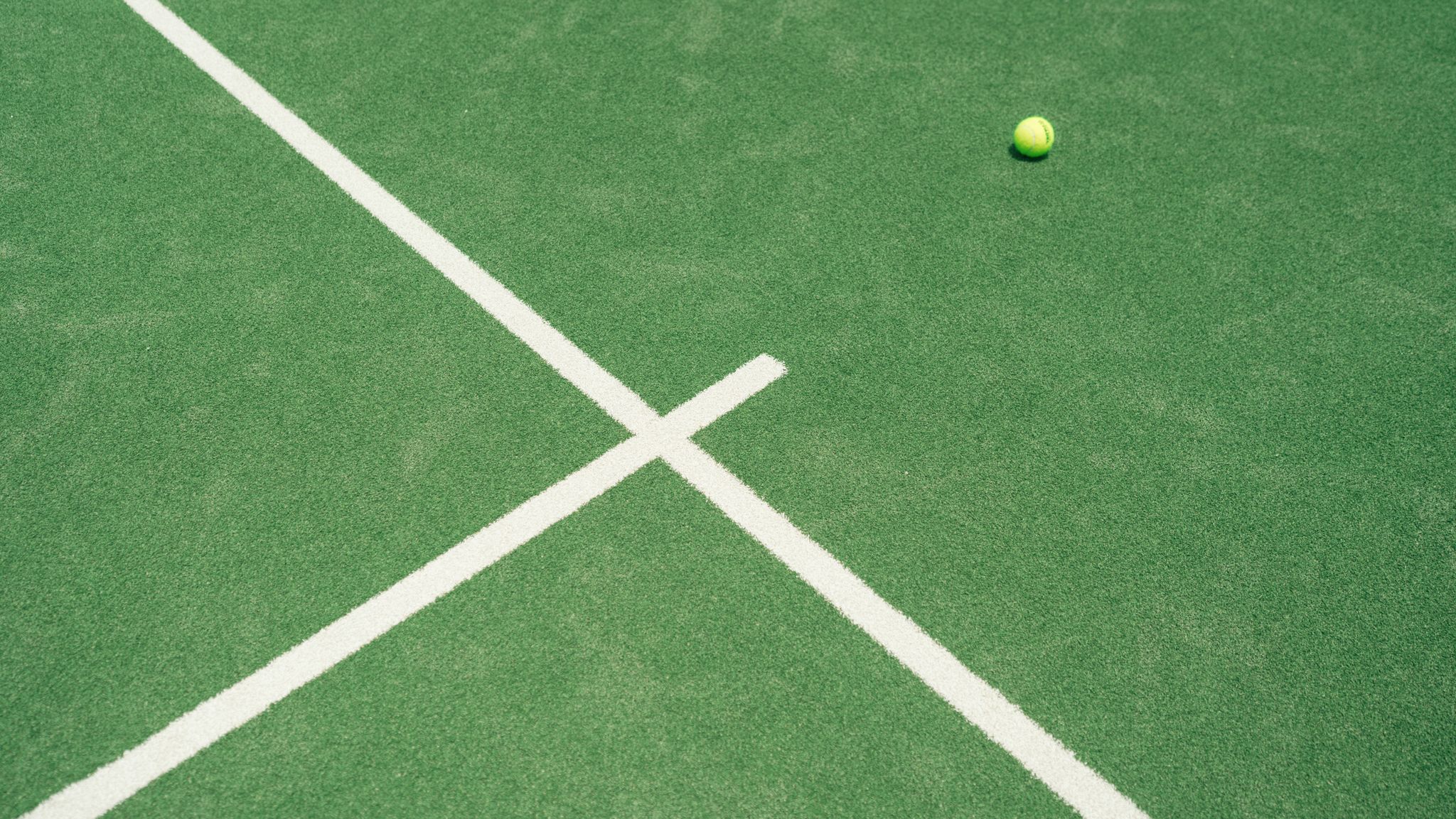 Meeuw pikt banaan van tennisser tijdens wedstrijd in Dublin