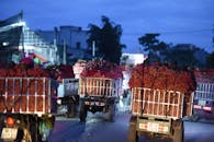 Lục Ngạn Lychee Harvest in Bac Giang at Night