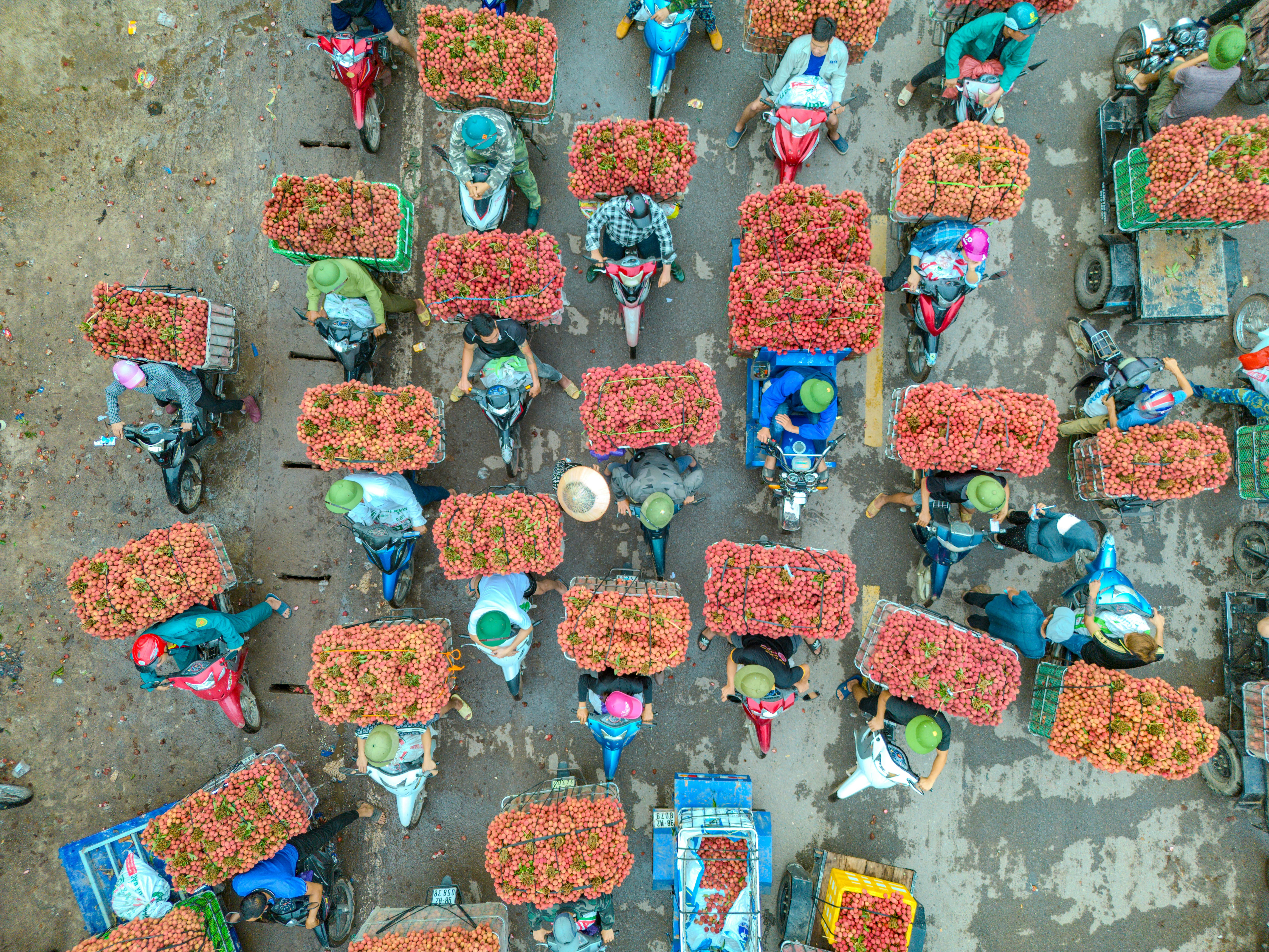 Aerial view capturing the lively scene of lychee transport in Bac Giang, Vietnam, showcasing local culture.