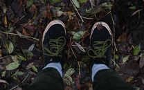 Crop traveler standing on fallen leaves on ground
