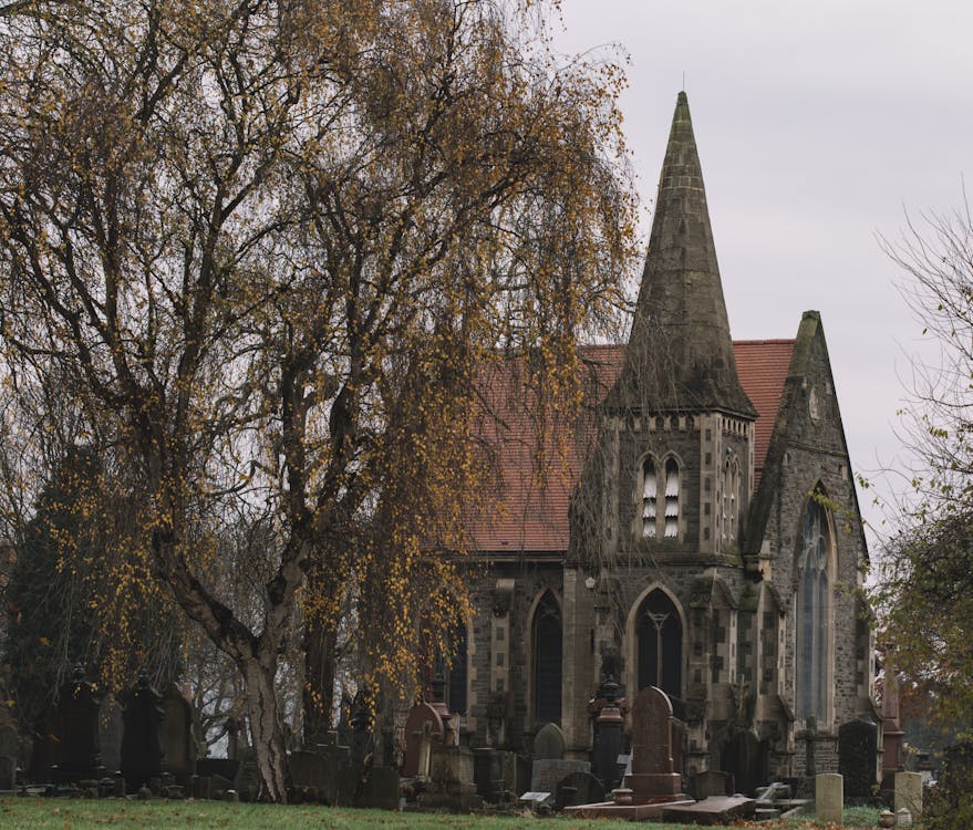 Gratis Fotos de stock gratuitas de caer, cementerio, estilo gótico Foto de stock