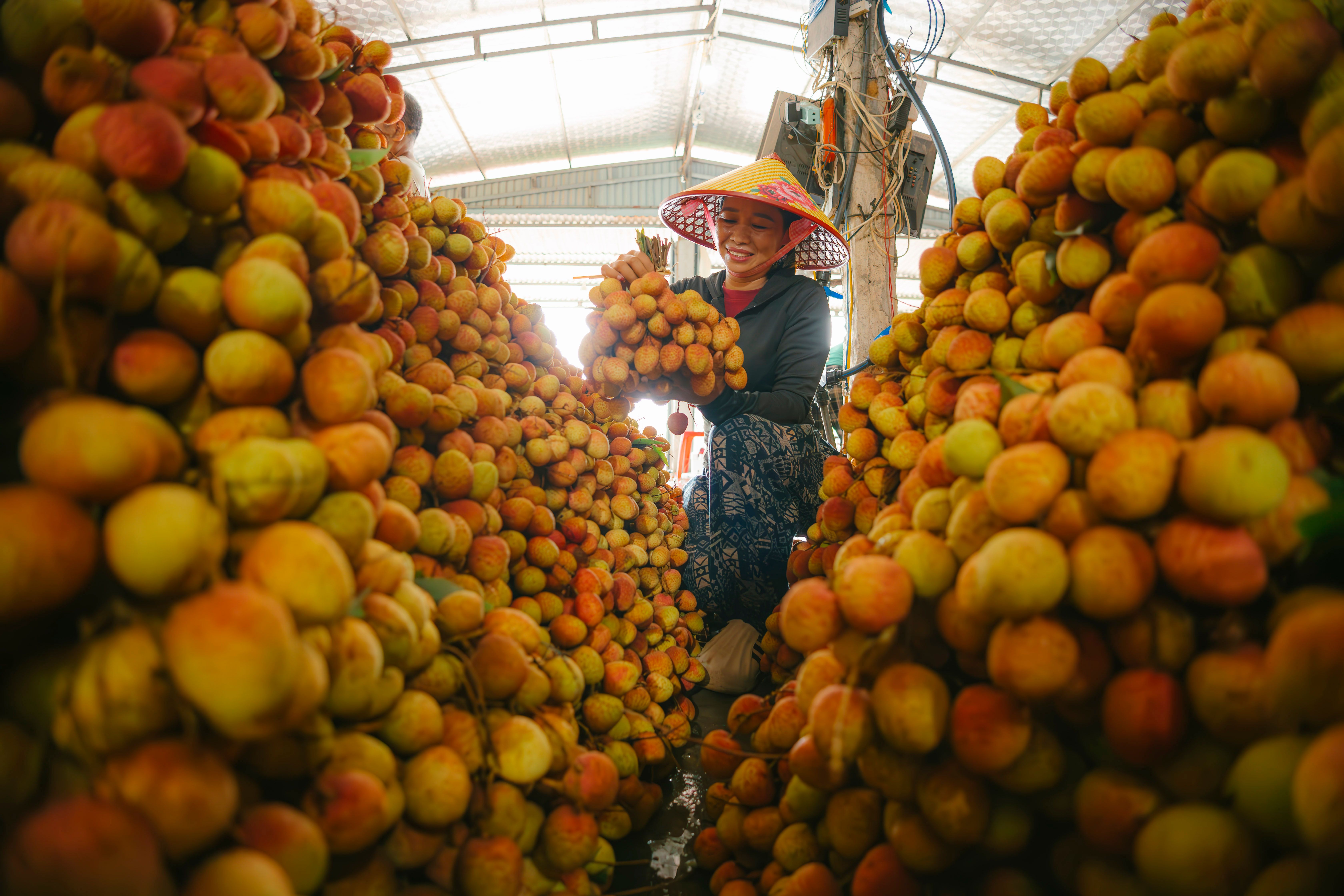 Best Produce Suppliers for Large Produce Companies
