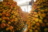Bountiful piles of fresh lychee fruits in a bustling market setting, creating a colorful and vibrant display.