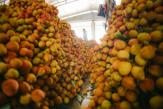 Bountiful piles of fresh lychee fruits in a bustling market setting, creating a colorful and vibrant display.