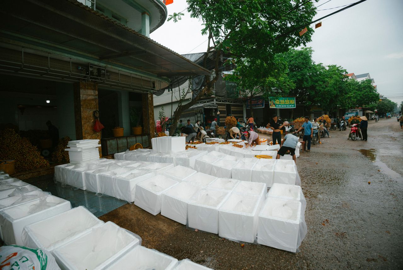 Same-day removals Bugle — removals work in progress