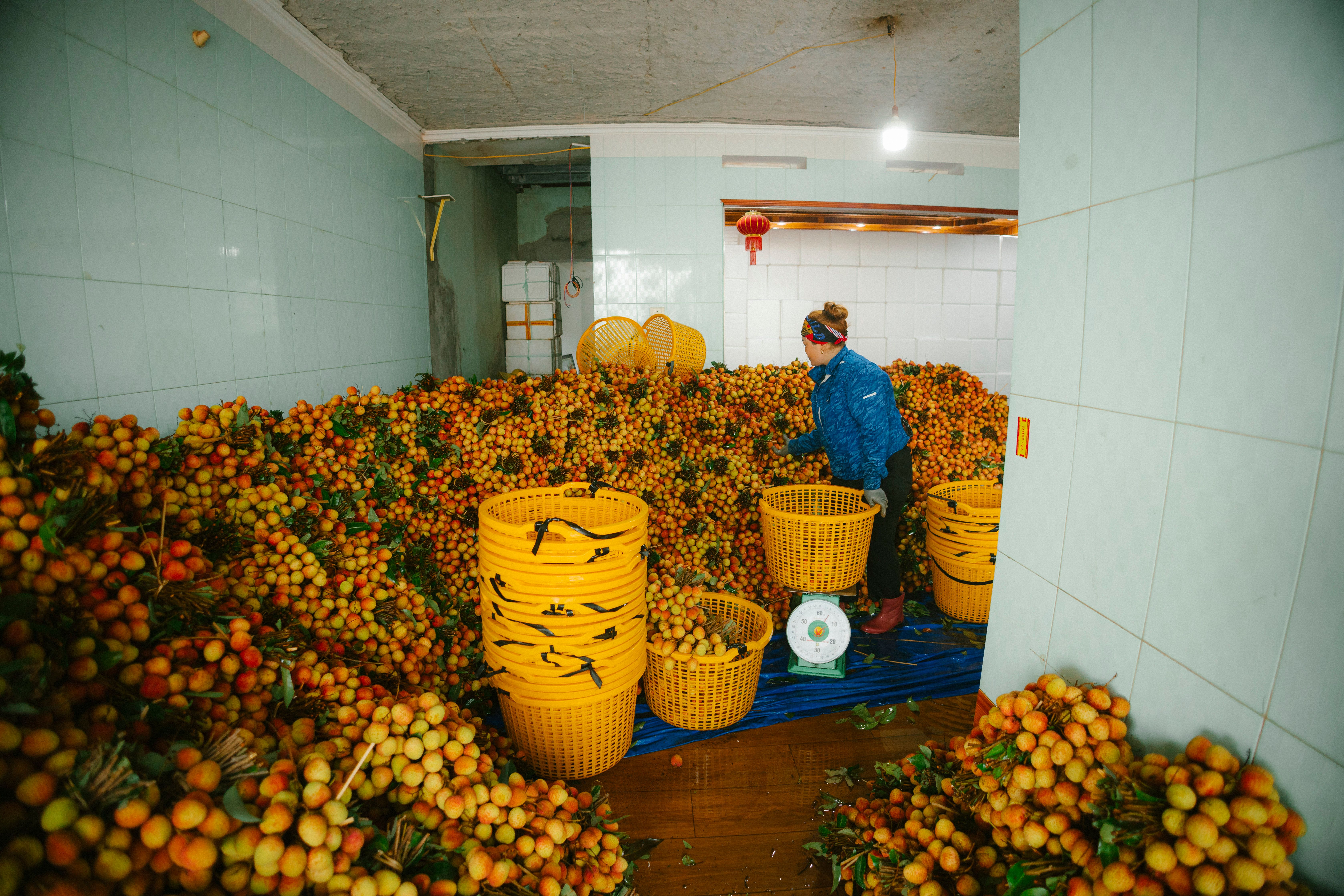 Rwanda (RWA) and Turkey (TUR) Trade | The Observatory of