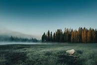 晨光朦胧，宁静的森林景观凸显出德国乡村之美