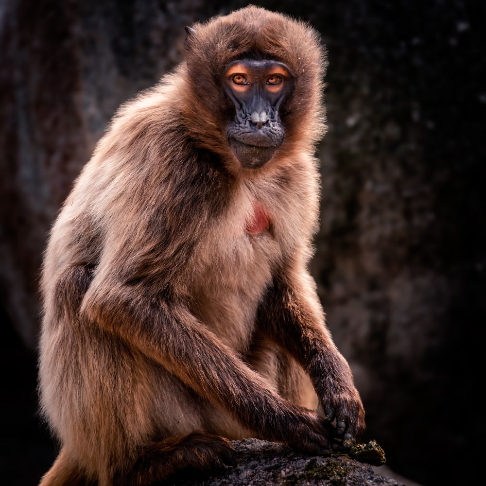 Markus Reiter - Photography