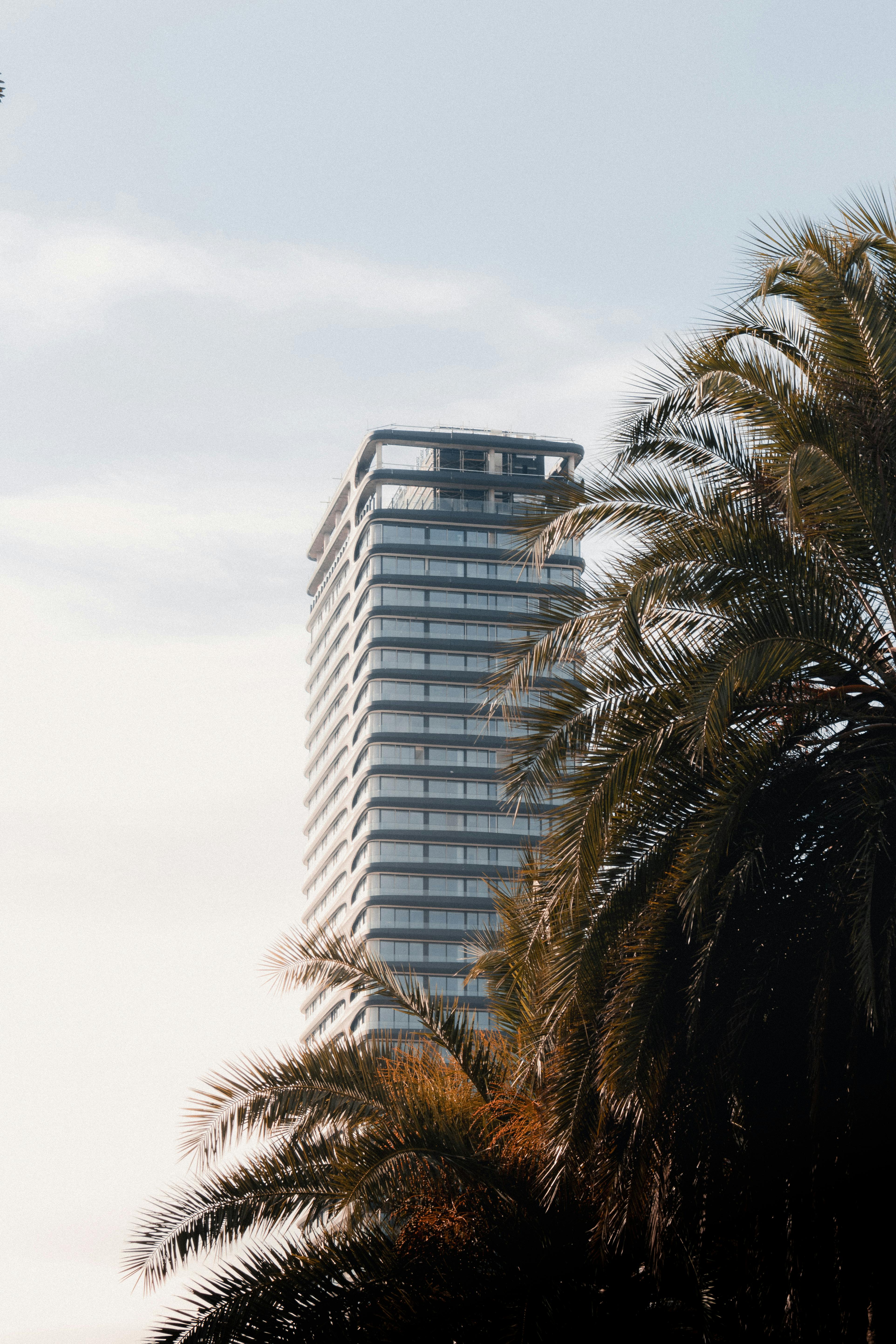 How to Build Backlinks Using Skyscraper Technique for Success 5 The Ultimate Checklist for Building High-Quality Backlinks: Skyscraper Technique Edition