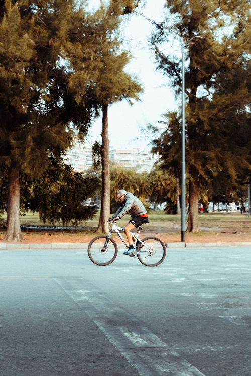 Free Cyclist enjoying a ride along a city street bordered by lush trees. Stock Photo