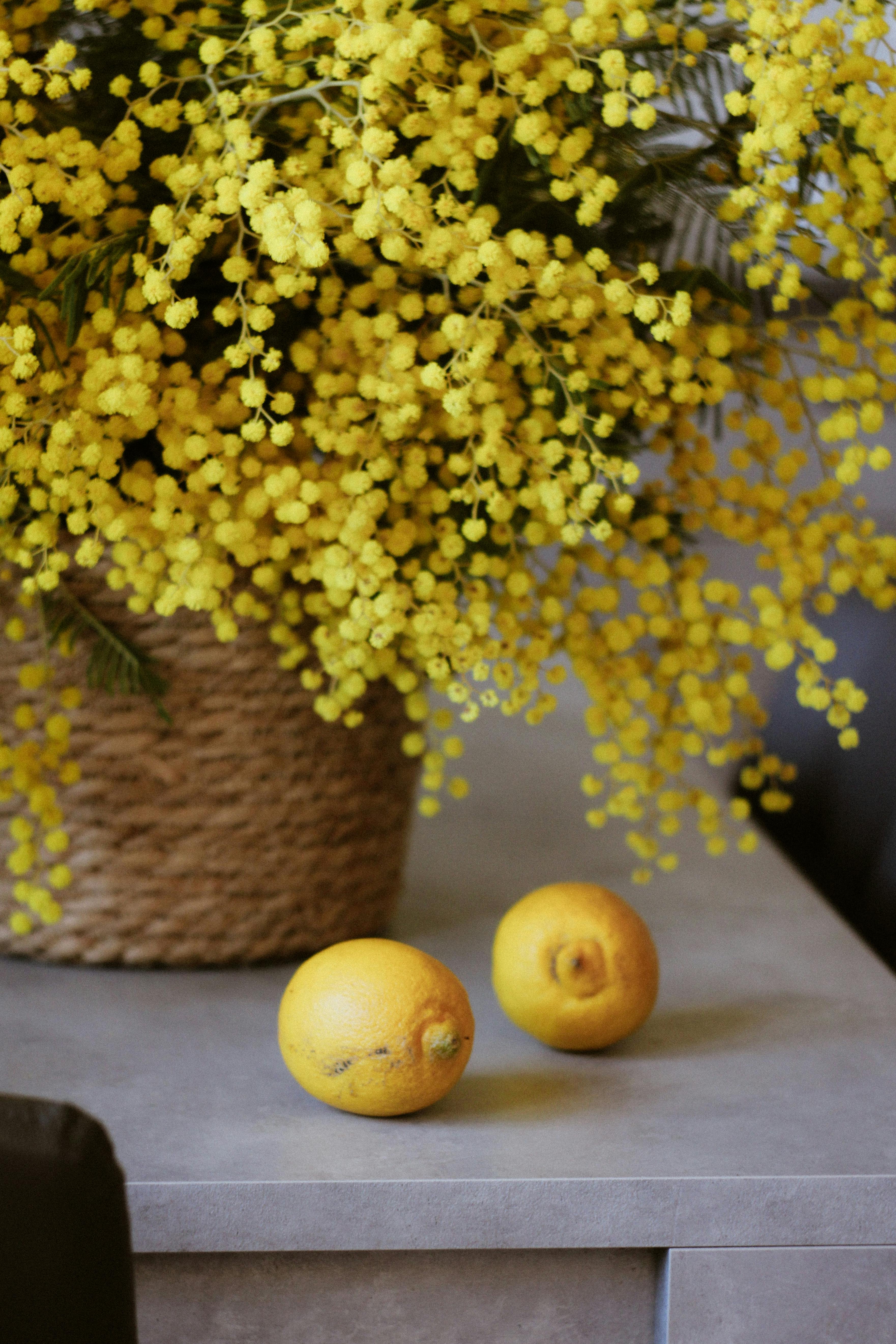 Troubleshooting Indoor Citrus, Pepper, and Flowering Houseplant Bloom Failure: Mastering Light, Humidity, and Nutrient Balance for Abundant Flowers and Fruit