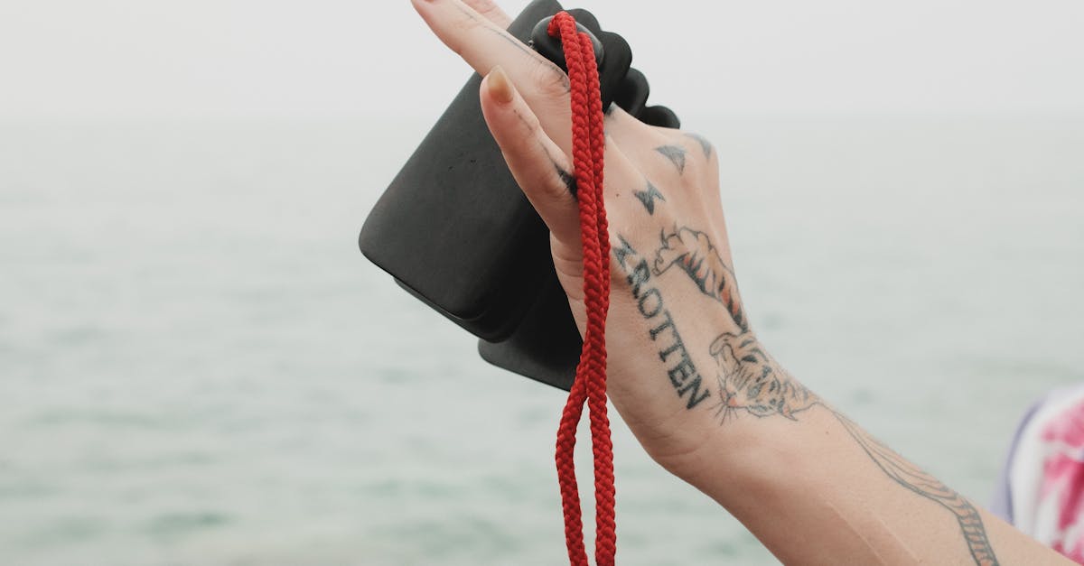 不砍伐枝葉 數位科技打造沉浸式藝術 讓瀕危自然永遠綻放