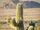 arizona desert