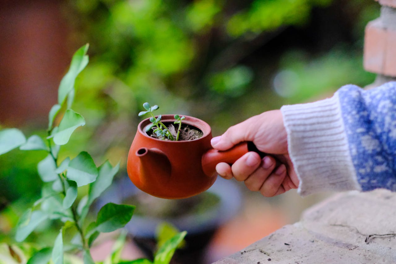 Để trở thành nhà văn | Chương 05