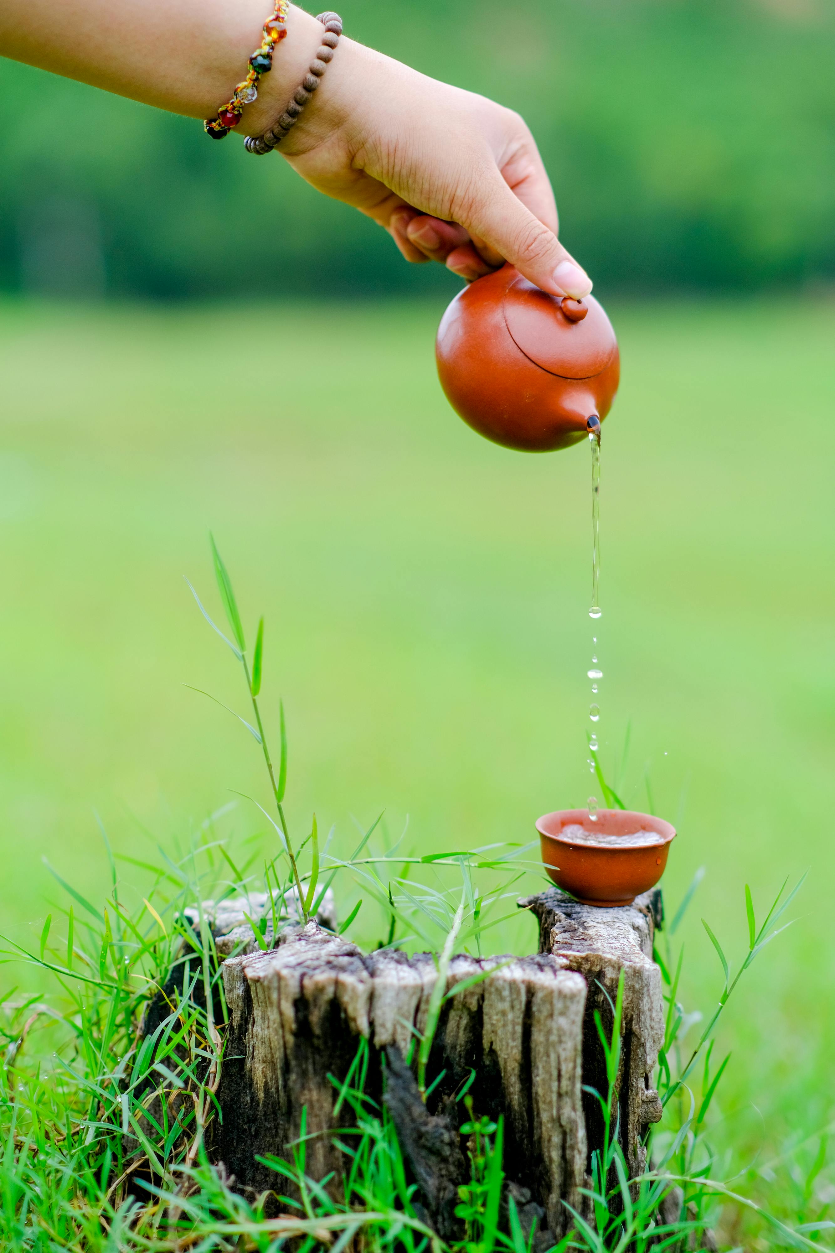 Có thể đóng băng lão hóa trong cơ thể của chúng ta không?