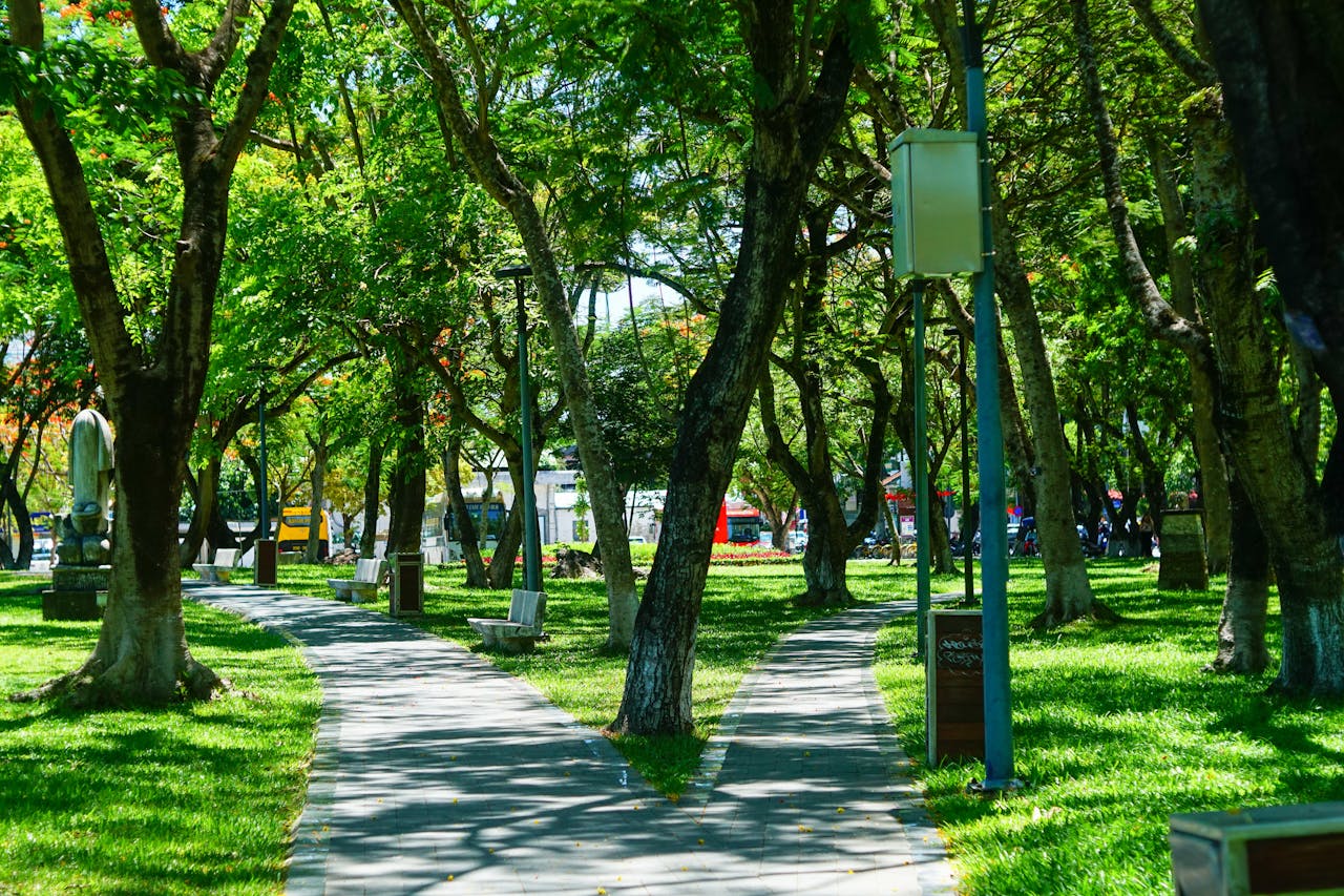 Phép tính lượng tử trong vũ trụ song song