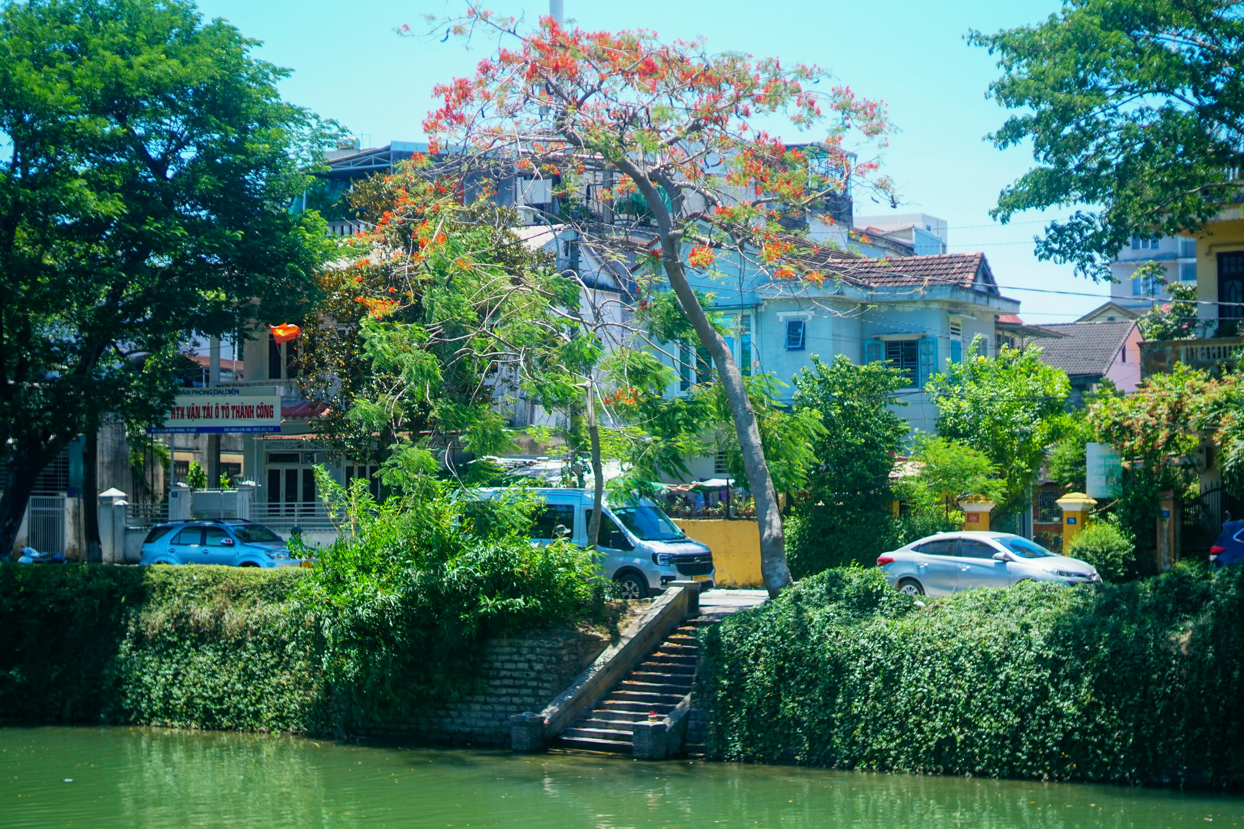 Người thầy của tỉnh thức và thương yêu | Chương 13