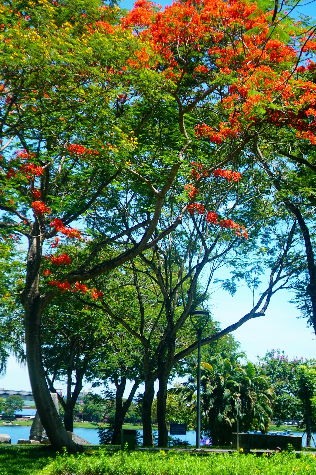 Phương trình Drake chứng minh loài người không cô đơn