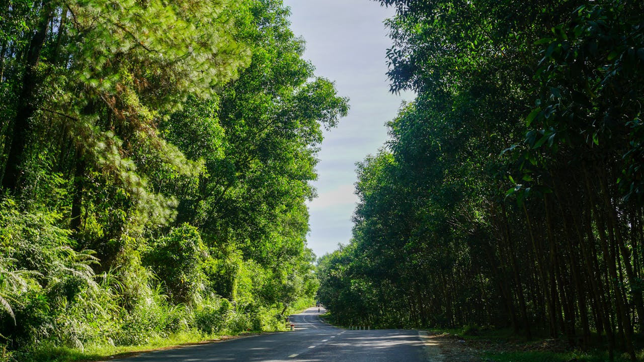 Kích thước thiên hà lớn nhất trong vũ trụ