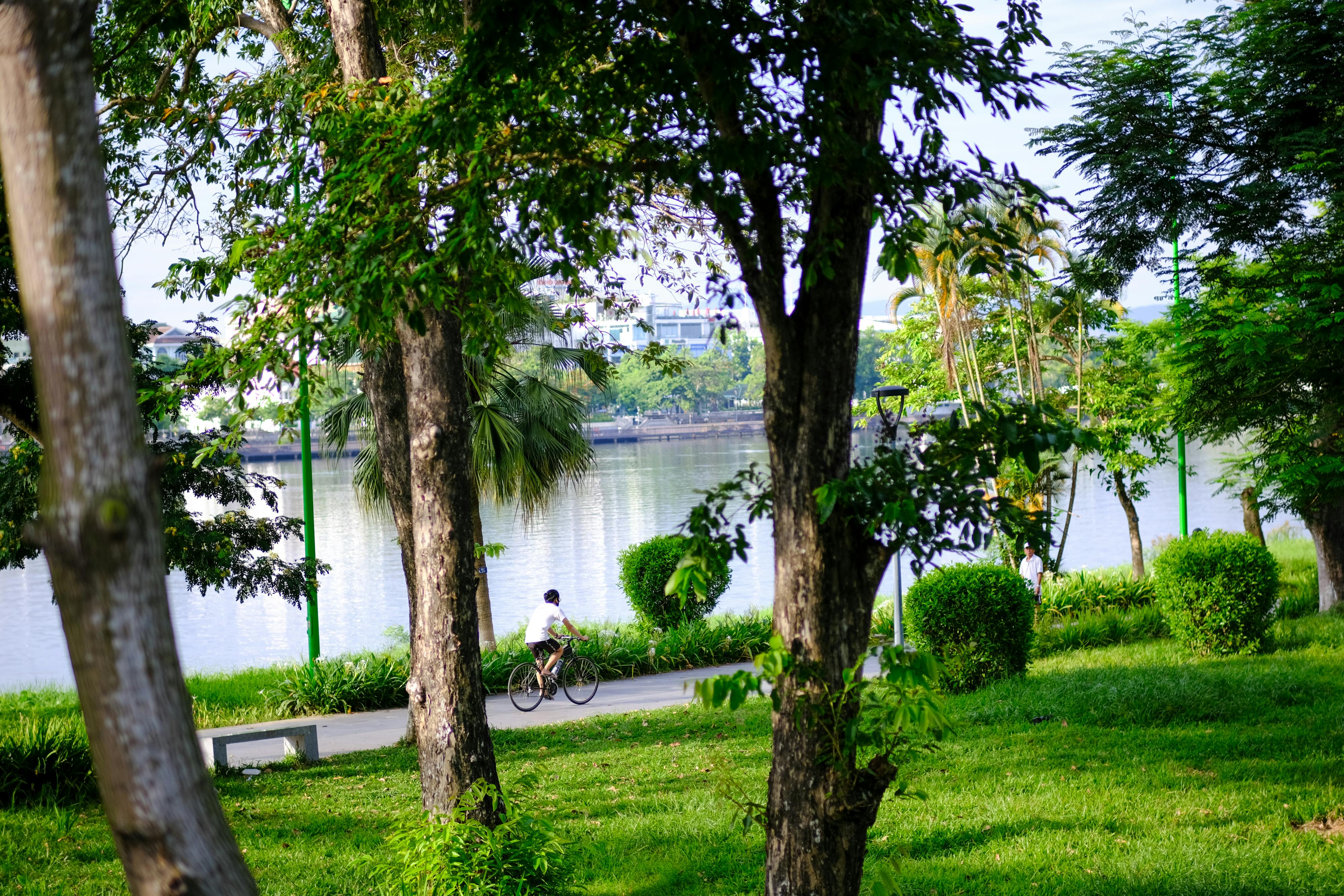 An nhiên trong cơn mưa