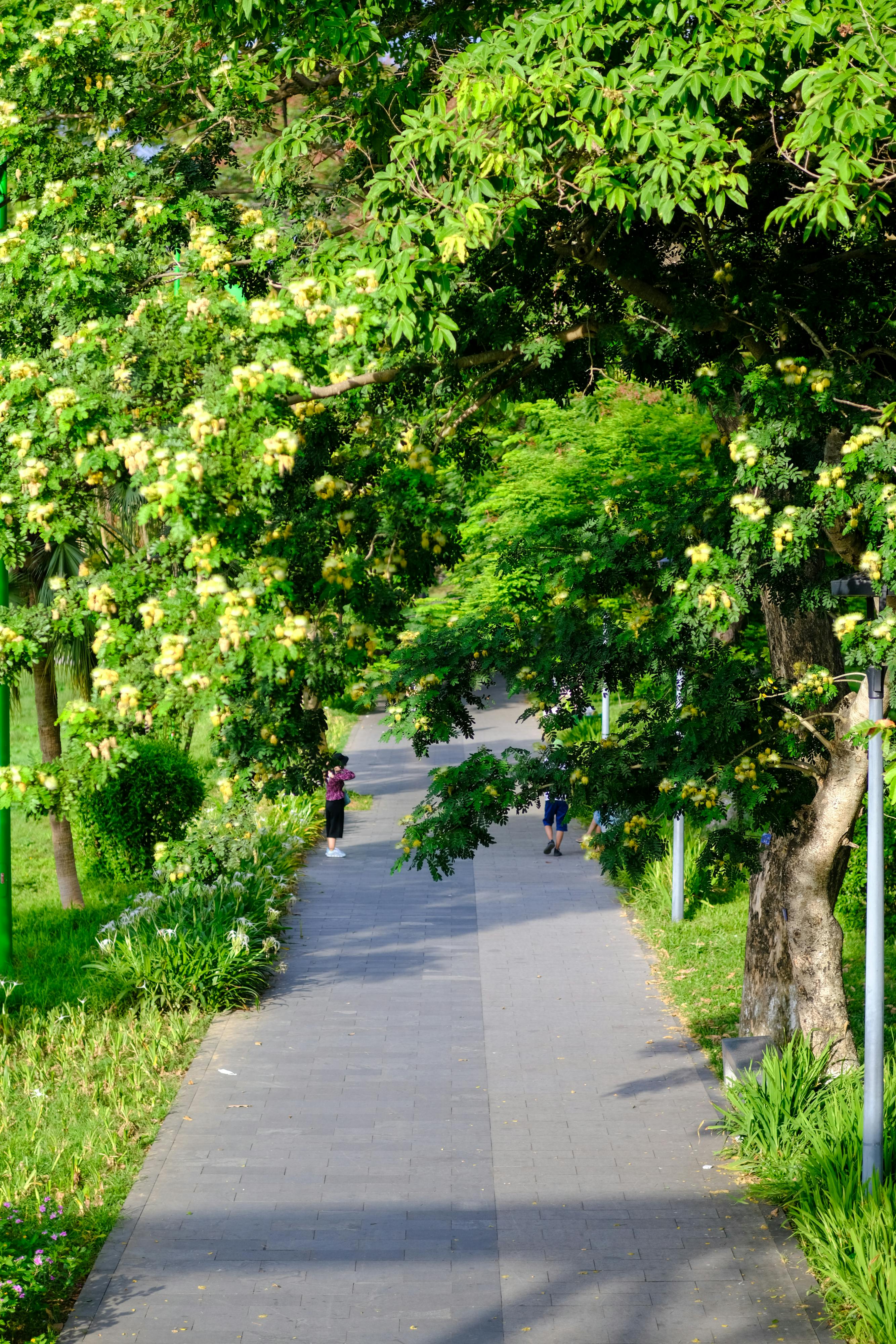 Để có một tương lai | Chương 01