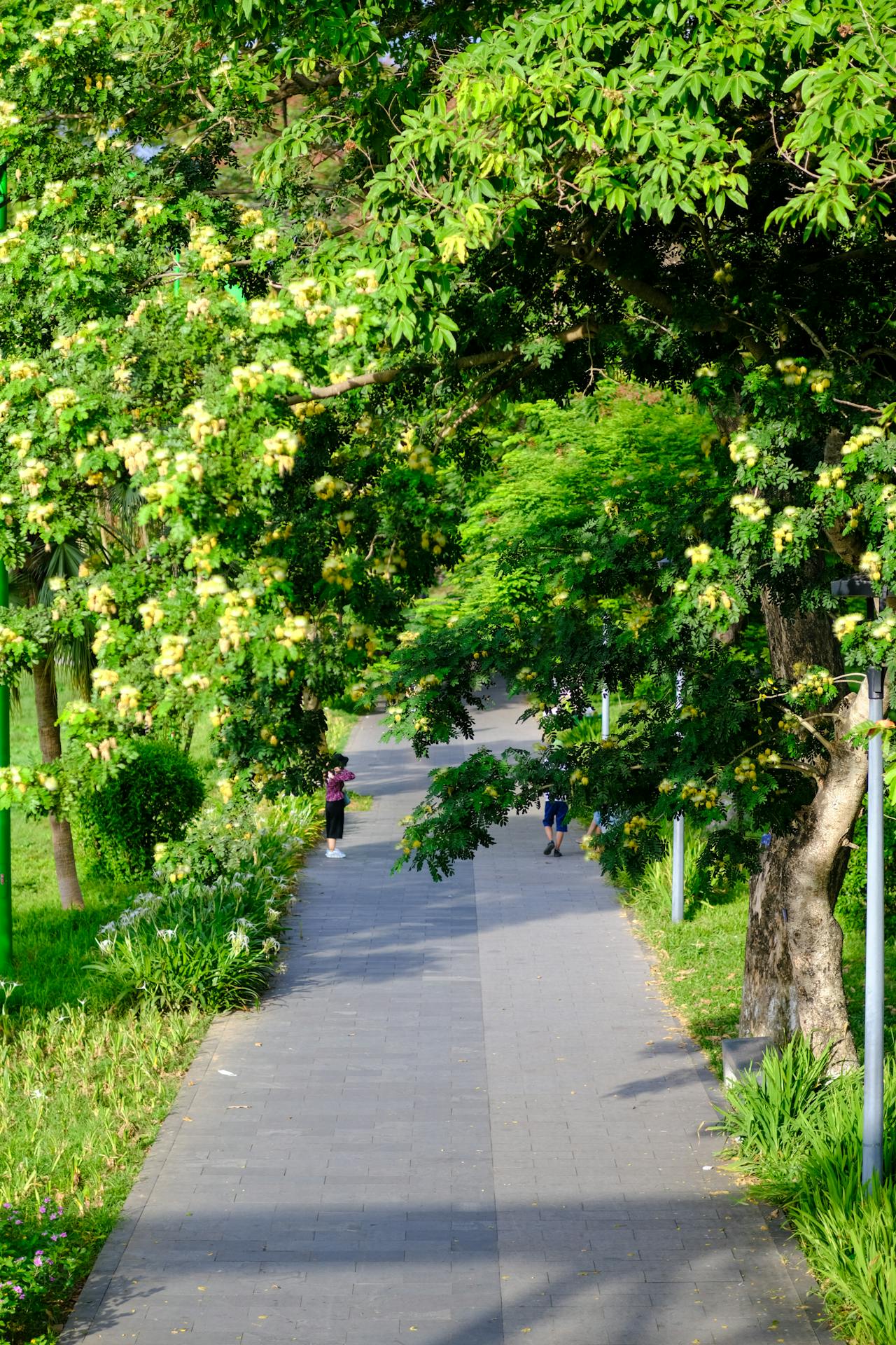 Ngôi nhà đỏ, trăng hồng