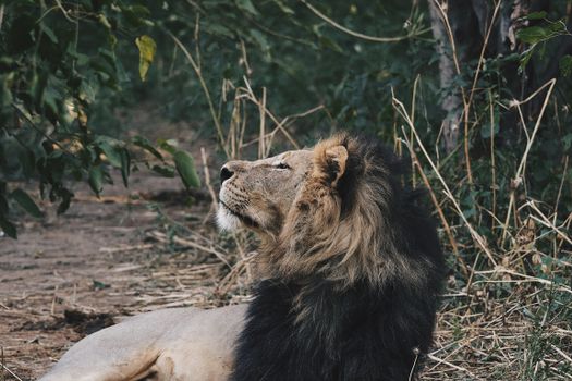 Private concession game drives — Botswana
